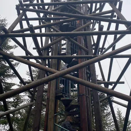 Апартаменты Les Vosgiens *